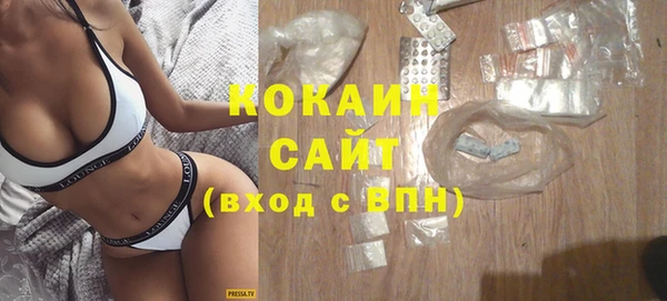 эйфоретик Богородск