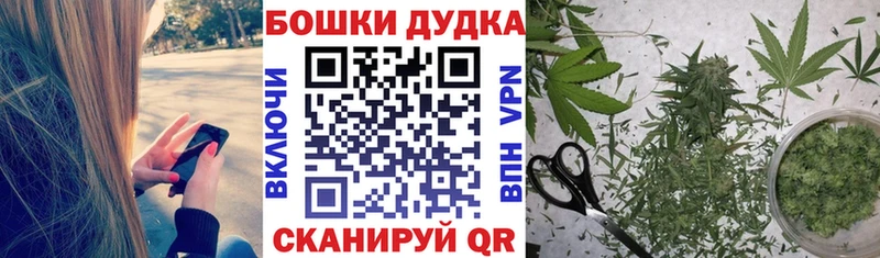 закладки  Кировск  МАРИХУАНА планчик 