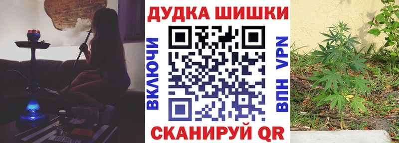 Каннабис планчик Кировск
